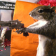 Illustration for article titled Taxidermy Driver